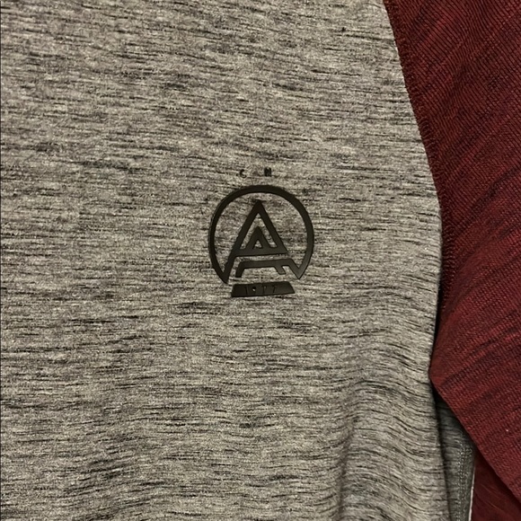 American Eagle Outfitters Gray and Maroon Long Sleeve Tee - Picture 3 of 5
